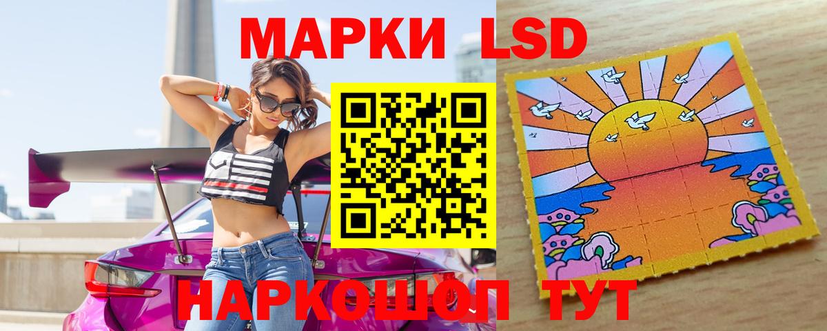 Курчалой  Лсд 25 экстази кислота  Лсд 25 экстази ecstasy  LSD-25 экстази  Вход с VPN 