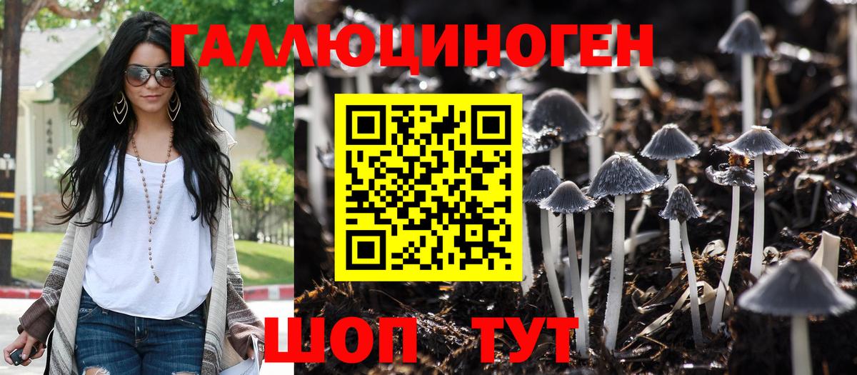 Галлюциногенные грибы GOLDEN TEACHER  Псилоцибиновые грибы Psilocybe  Курчалой  Вход с VPN 