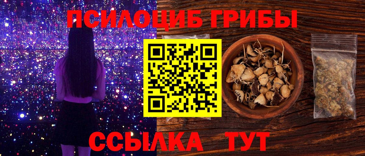 Псилоцибиновые грибы GOLDEN TEACHER Курчалой